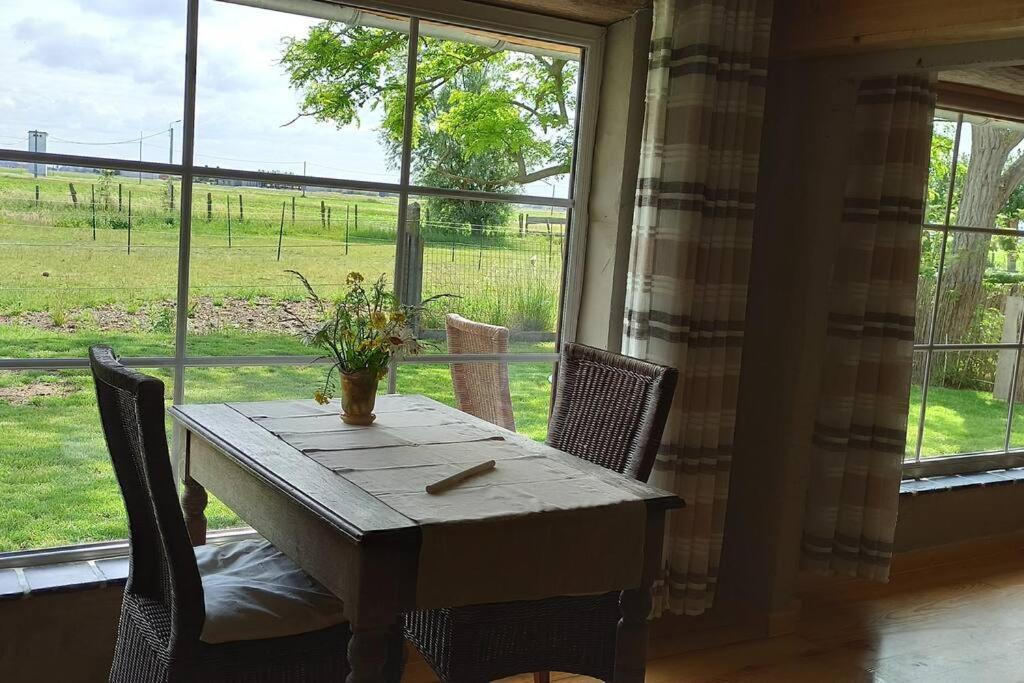 Korentil . Cosy House With Private Garden De Haan Buitenkant foto